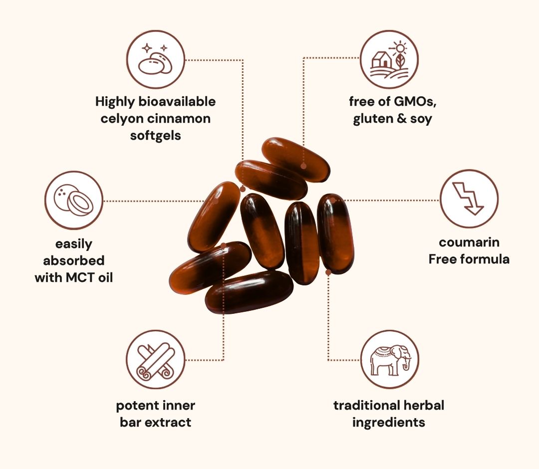Primal Remedies - Ceylon Cinnamon with MCT Oil